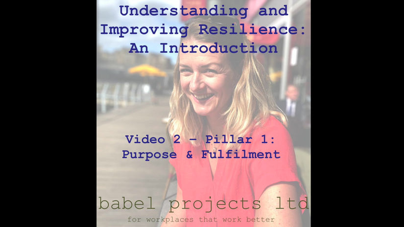 Pillar 1: Purpose & Fulfilment